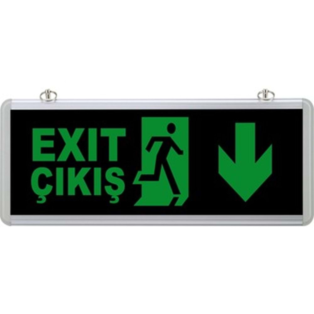 SELDA EXIT (ÇİFT YÖN) ACİL YÖNLENDİRME AŞAĞI OK SG005