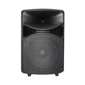 250 WATT 10